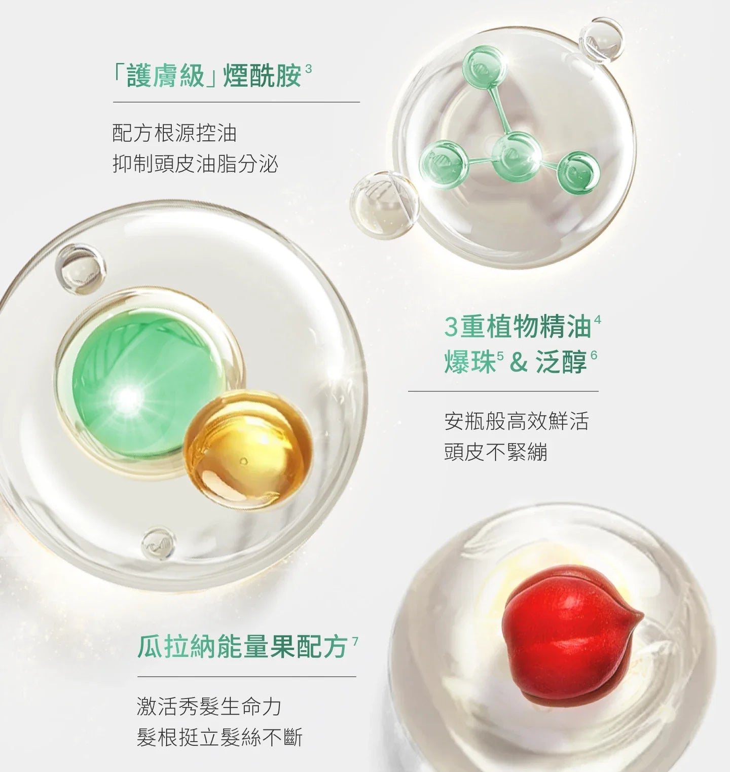 René Furterer FORTICEA Shampoo 600ml 活力強韌洗髮露 (延緩脫髮)